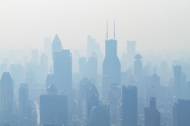 You are currently viewing How Your Diet Can Mitigate the Impact of Air Pollution on Health