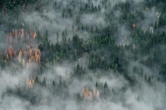 You are currently viewing Canadian Wildfire Smoke Triggers Air Quality Alerts